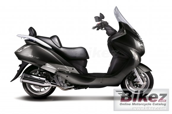 2009 Hyosung MS3 250 photo